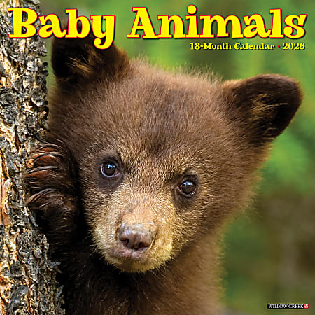 2026 Willow Creek Press Animals Monthly Wall Calendar, 12" x 12", Baby Animals, January To December, 50002