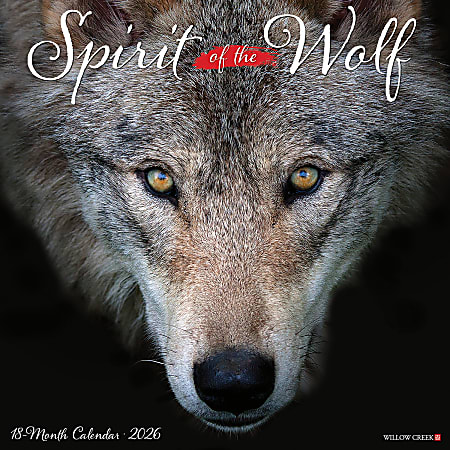 2026 Willow Creek Press Animals Monthly Wall Calendar, 12" x 12", Spirit of the Wolf, January To December, 52884