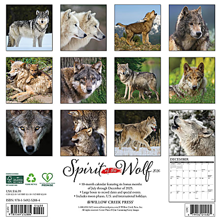 2026 Willow Creek Press Animals Monthly Wall Calendar 12 x 12 Spirit of ...