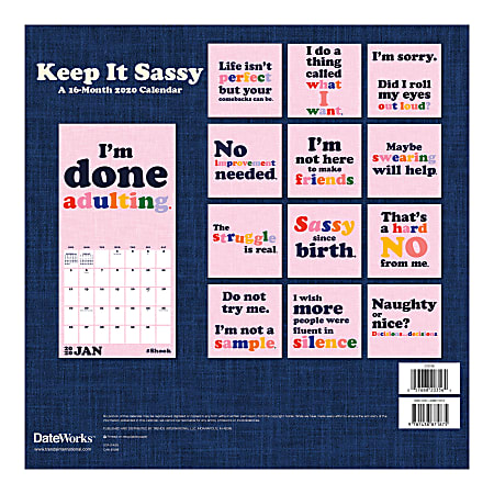 Sandylion 16-Month Wall Calendar, 12" x 12", Everyday Sass, September 2019 To December 2020