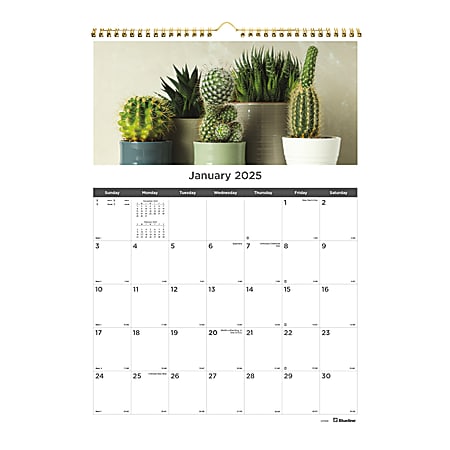 2025 Blueline Colorful Monthly Wall Calendar, 12" x 17", Succulent Plants, January To December, C173121