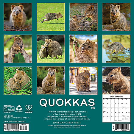 選ぶなら Willow 2025 Creek 12 x 12 Calendar Wall Monthly Press 手帳・カレンダー