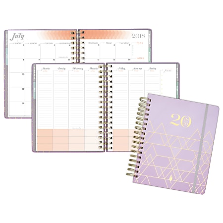 AT-A-GLANCE® inkWELL Press® Classic liveWELL Weekly/Monthly Planner™, 7" x 9", Violet Chevron, July 2018 to June 2019
