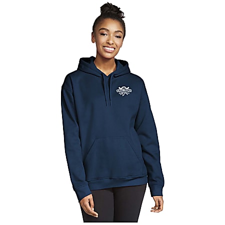 The north face women's bottle source pullover hoodie outlet