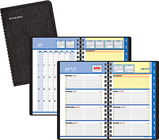 At-A-Glance QuckNotes Weekly/Monthly Planner - View #11
