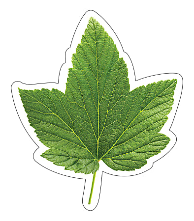 Schoolgirl Style Single Cut-Outs, 5-1/2" x 6-1/4", Green Leaf Colorful, Pack Of 36 Cut-Outs