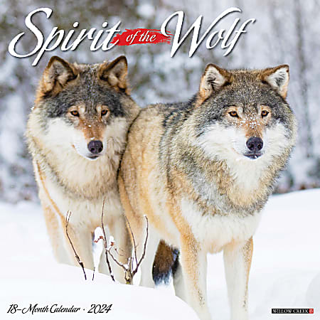 2024 Willow Creek Press Animals Monthly Wall Calendar, 12" x 12", Spirit Of The Wolf, January To December
