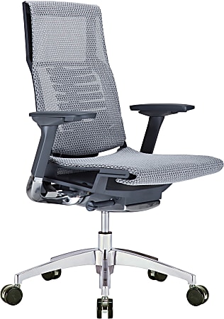 Raynor® Powerfit Ergonomic Mesh Mid-Back Executive Chair, Black/Gray