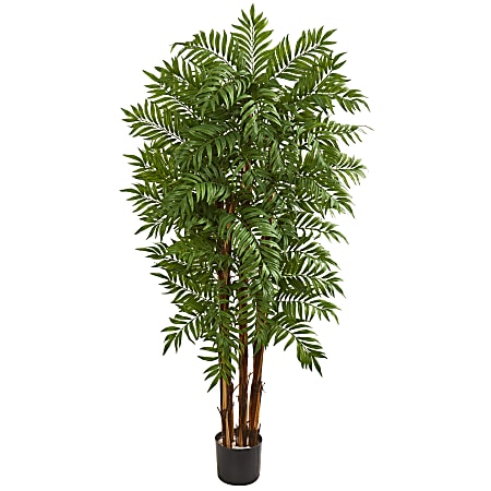 Nearly Natural 5-1/2'H Parlour Artificial Palm Tree, 66"H x 16"W x 13"D, Black/Green