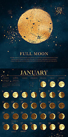 2026 Willow Creek Press Art Design Monthly Wall Calendar 12 x 12 Moon ...