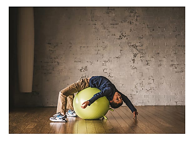 Office depot 2025 ball chair