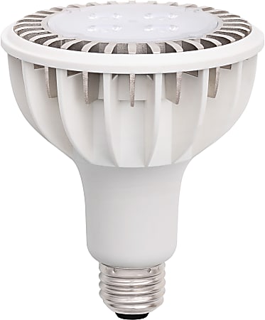 Zenaro PAR30 Retrofit Long Neck LED Lamp, 10 Watts, Day Light, 10 Degree Beam Angle