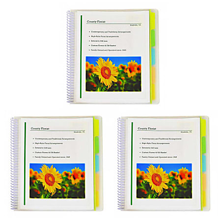 10-Pocket Poly Portfolio with Write-On Tabs, 8.5 x 11, Clear/Clear