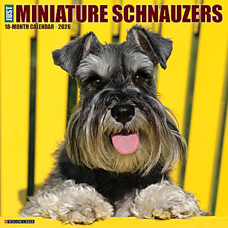 2026 Willow Creek Press Animals Monthly Wall Calendar, 12" x 12", Miniature Schnauzers, January To December, 55502