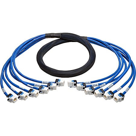 Tripp Lite Augmented Cat6/Cat6a Pre-Terminated Copper Trunk Bundle, (6x) RJ45 (F/F), 15 ft - 15 ft Category 6/Category 6a Network Cabl - - Blue
