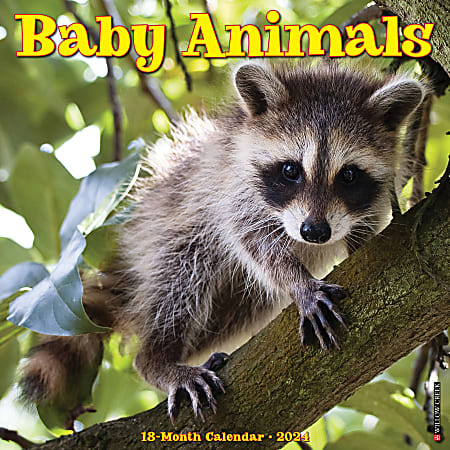 2024 Willow Creek Press Animals Monthly Wall Calendar,