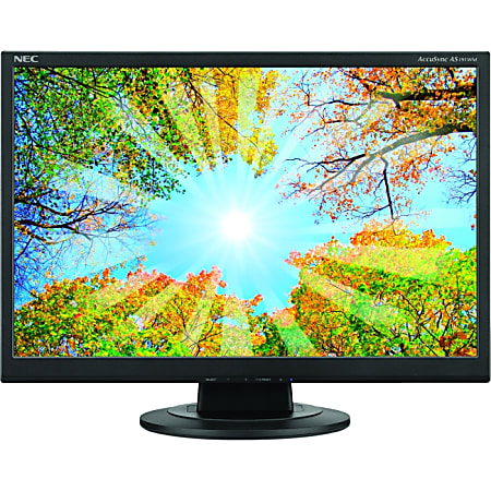 NEC Display AccuSync AS191WM 19" LCD Monitor - 5 ms