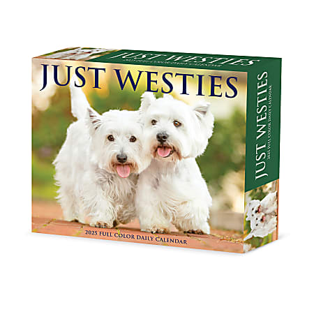 2025 Willow Creek Press Daily Desk Box Calendar, Animals, 5-1/2” x 6-1/4", Westies, January To December, 41093