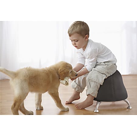 Safco Runtz Ball Chair Black