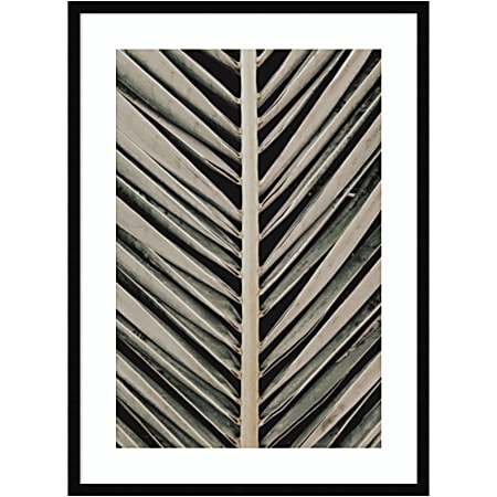 Amanti Art Palmblad 005 by 1x Studio III Wood Framed Wall Art Print, 24”W x 33”H, Black