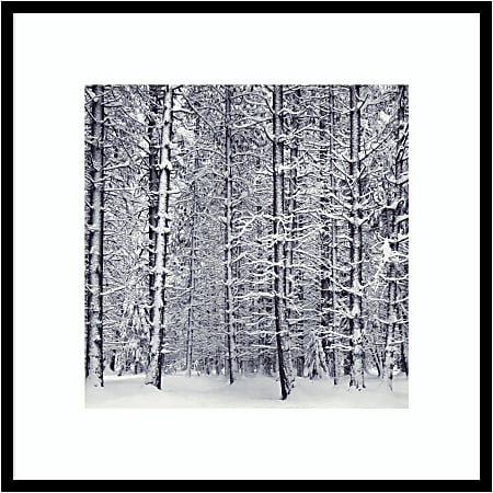 Amanti Art Pine Forest In The Snow Yosemite National Park by Ansel Adams Wood Framed Wall Art Print, 31”W x 31”H, Black