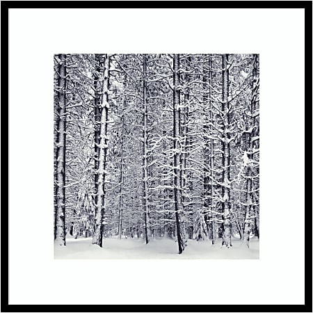 Amanti Art Pine Forest In The Snow Yosemite