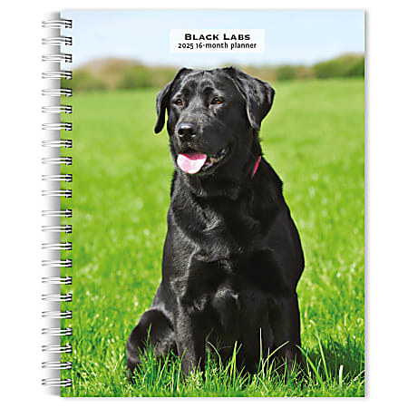 2025 BrownTrout Black Labrador Retrievers Weekly Spiral-Bound Wire-O Engagement Planner Calendar, 6" x 7 3/4"