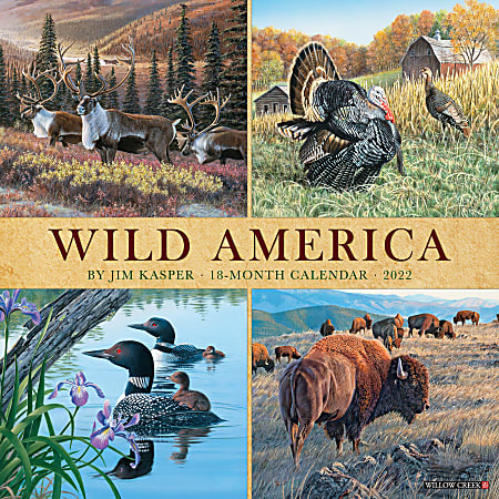 Willow Creek Press Animals Monthly Wall Calendar, 12" x 12", Wild America, January to December 2022, 20166