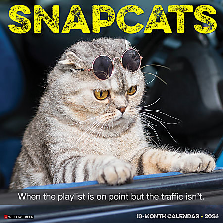 2026 Willow Creek Press Humor & Comics Monthly Wall Calendar, 12" x 12", Snapcats, January To December, 52853