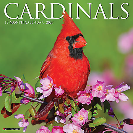 2024 Willow Creek Press Animals Monthly Wall Calendar, 12" x 12", Cardinals, January To December