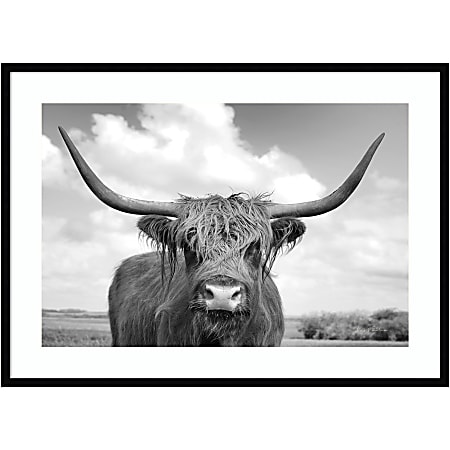 Amanti Art Highland Cow On the Ranch by Andre Eichman Wood Framed Wall Art Print, 30”H x 41”W, Black