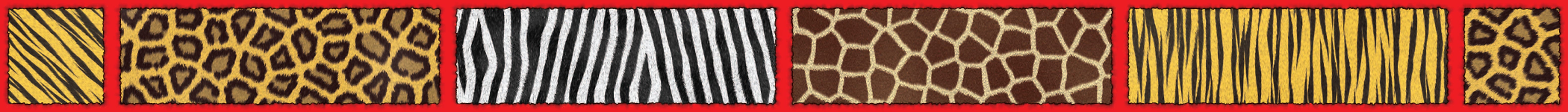 Scholastic Bulletin Board Border, Safari, 3" x 36'