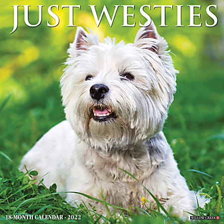 Willow Creek Press Animals Monthly Wall Calendar, 12" x 12", Just Westies, January to December 2022, 20012