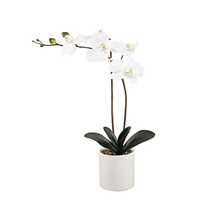 Realspace® 18-1/2"H Real Touch Orchid In Ceramic Pot, White