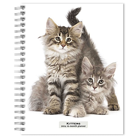 2023-2024 BrownTrout 16-Month Weekly/Monthly Engagement Planner, 7-3/4" x 7-3/16", Kittens, September To December