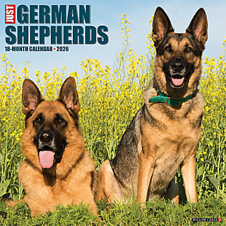 2026 Willow Creek Press Animals Monthly Wall Calendar, 12" x 12", German Shepherds, January To December, 51238
