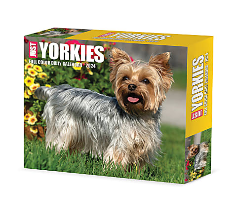 2024 Willow Creek Press Page-A-Day Daily Desk Calendar, 5" x 6", Yorkies, January To December