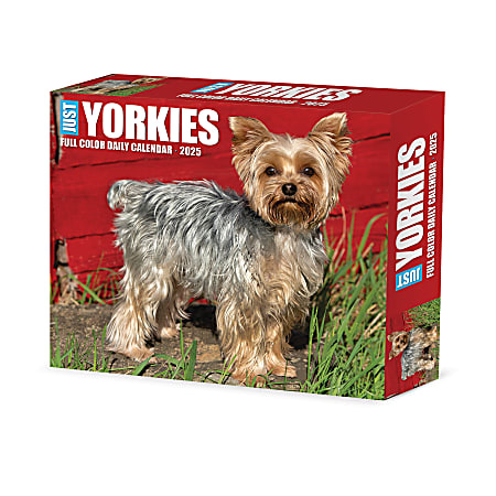 2025 Willow Creek Press Daily Desk Box Calendar, Animals, 5-1/2” x 6-1/4", Yorkies, January To December, 41130