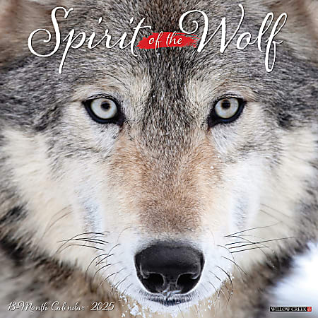 2025 Willow Creek Press Monthly Wall Calendar, 12" x 12", Spirit Of The Wolf, January 2025 to December 2025, 45008