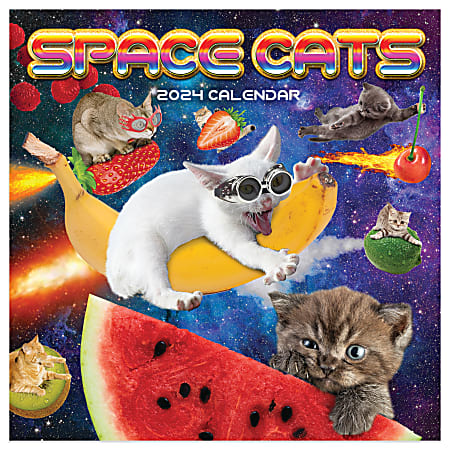 2024 TF Publishing Humor Monthly Mini Wall Calendar, 7” x 7”, Space Cats, January To December