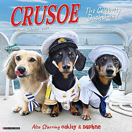 2024 Willow Creek Press Humor & Comics Monthly Wall Calendar, 12" x 12", Crusoe the Celebrity Dachshund, January To December