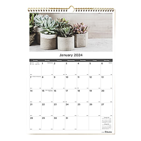 2024 Blueline® Colorful Monthly Wall Calendar, 17" x 12", Succulent Plants, January To December 2024 , C173121