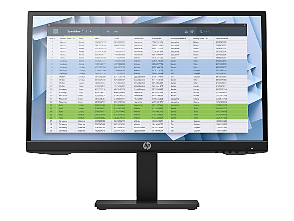 HP P22 G4 22" HD LCD Monitor