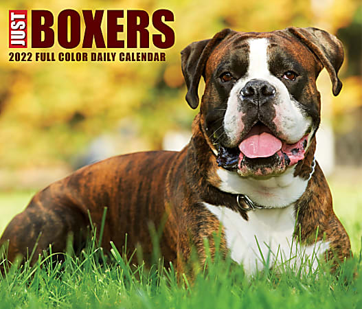 Willow Creek Press Page-A-Day Daily Desk Calendar, 5-1/2" x 6-1/4", Boxers, January To December 2022