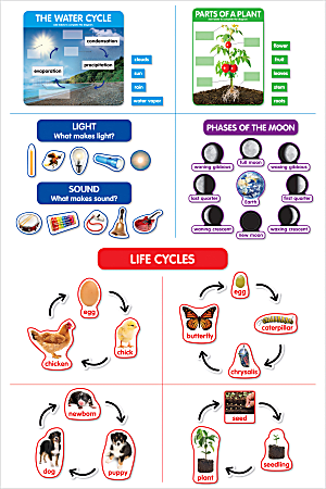 Scholastic® Teacher's Friend Early Science Concepts Bulletin Board Set, Preschool - Grade 2