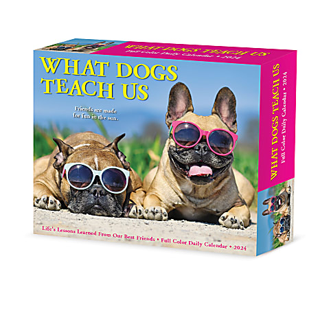 2024 Willow Creek Press Page-A-Day Daily Desk Calendar, 5" x 6", What Dogs Teach Us, January To December