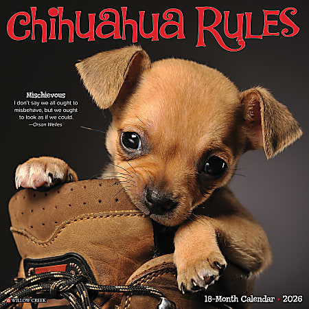 2026 Willow Creek Press Animals Monthly Wall Calendar, 12" x 12", Chihuahua Rules, January To December, 50682