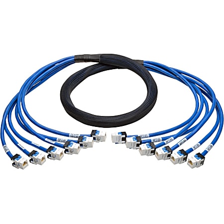 Tripp Lite Augmented Cat6/Cat6a Pre-Terminated Copper Trunk Bundle, (6x) RJ45 (F/F), 6 ft - First End: 6 x RJ-45 Female Network - Second End: 6 x RJ-45 Female Network - Patch Cable - 23 AWG - Blue