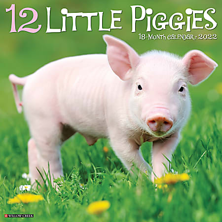 Willow Creek Press Animals Monthly Wall Calendar, 12" x 12", 12 Little Piggies, January to December 2022, 16398