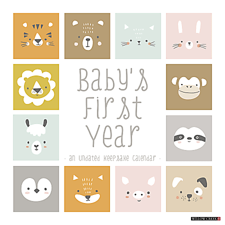 Willow Creek Press Art & Design Monthly Wall Calendar, 12" x 12", Baby’s First Year Milestone Tracker, January To December
